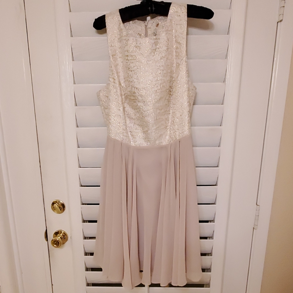 Anthropologie Ivory Sequin Bodice and Blush Midi Dress